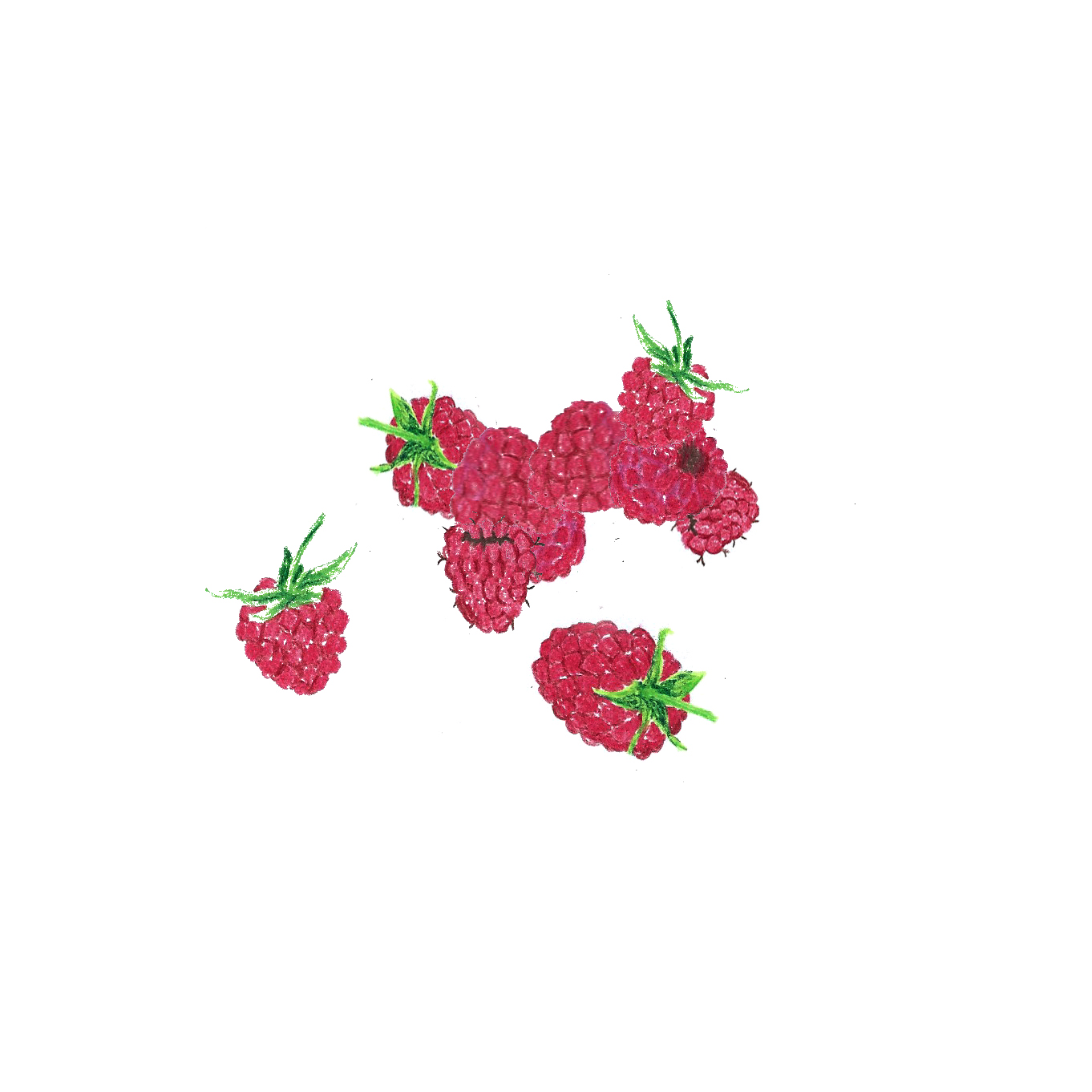 rasberries